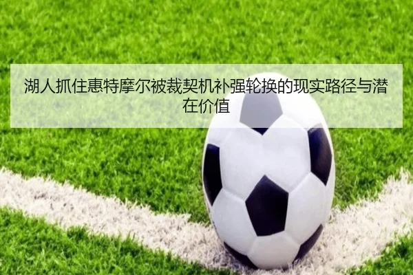 湖人抓住惠特摩尔被裁契机补强轮换的现实路径与潜在价值